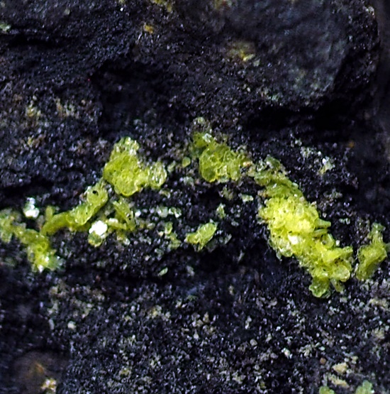 Autunite