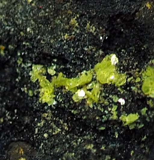 Autunite