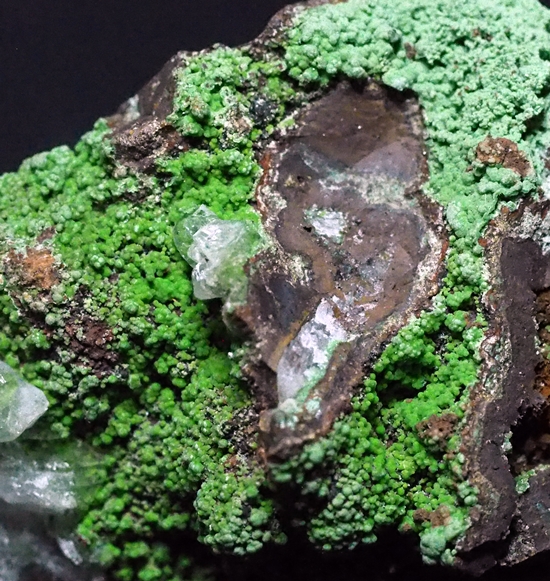 Calcite & Conichalcite