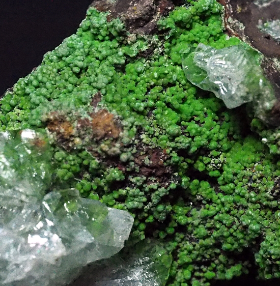 Calcite & Conichalcite