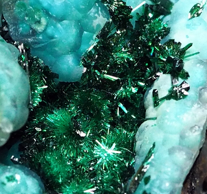 Brochantite & Chrysocolla