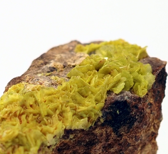 Autunite