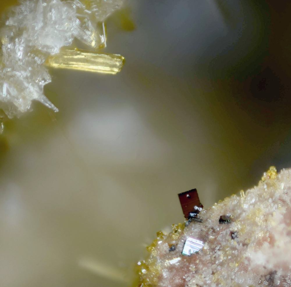 Schüllerite & Volborthite