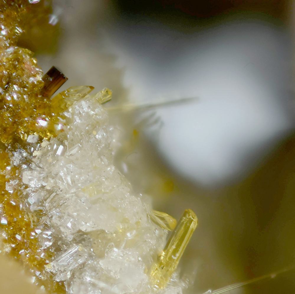 Schüllerite & Volborthite