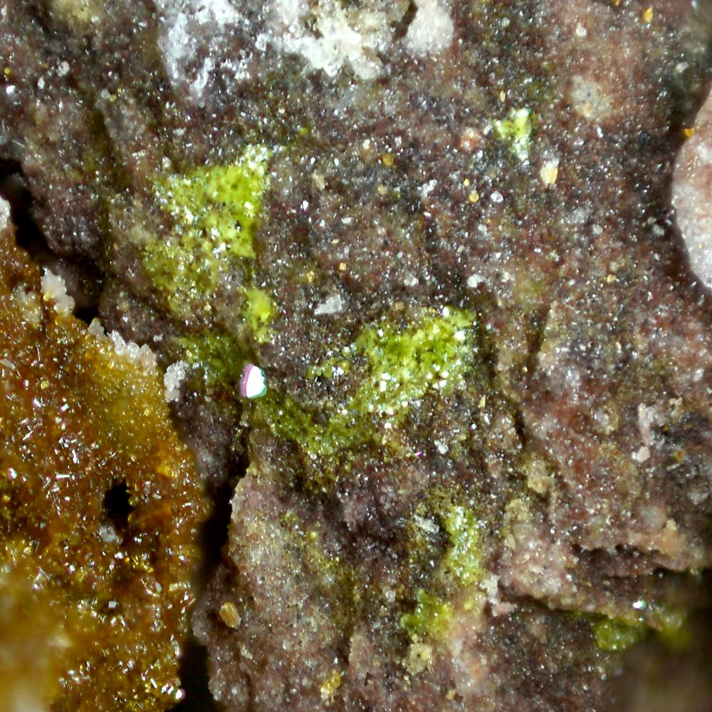 Schüllerite & Volborthite