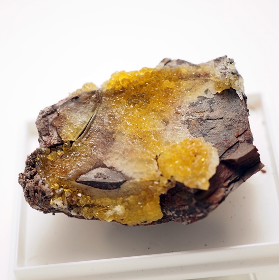 Salammoniac & Selenium