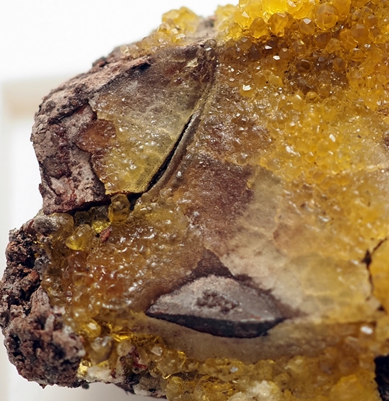 Salammoniac & Selenium