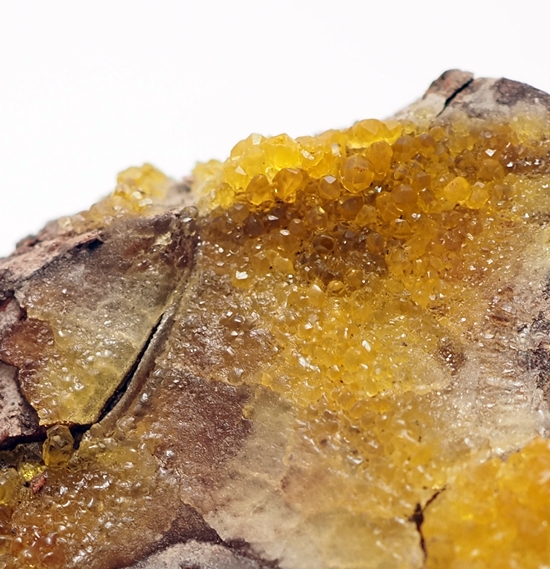 Salammoniac & Selenium