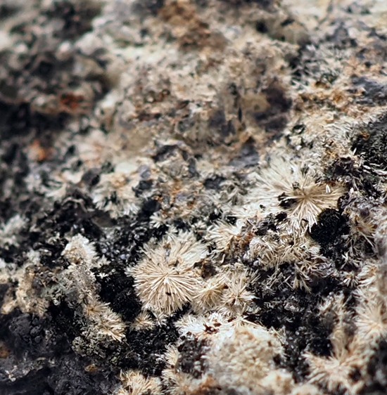 Ferristrunzite & Ferroberaunite