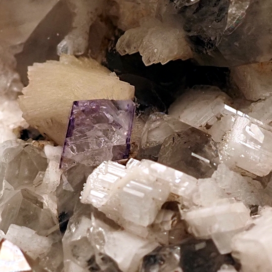 Fluorite & Titanite