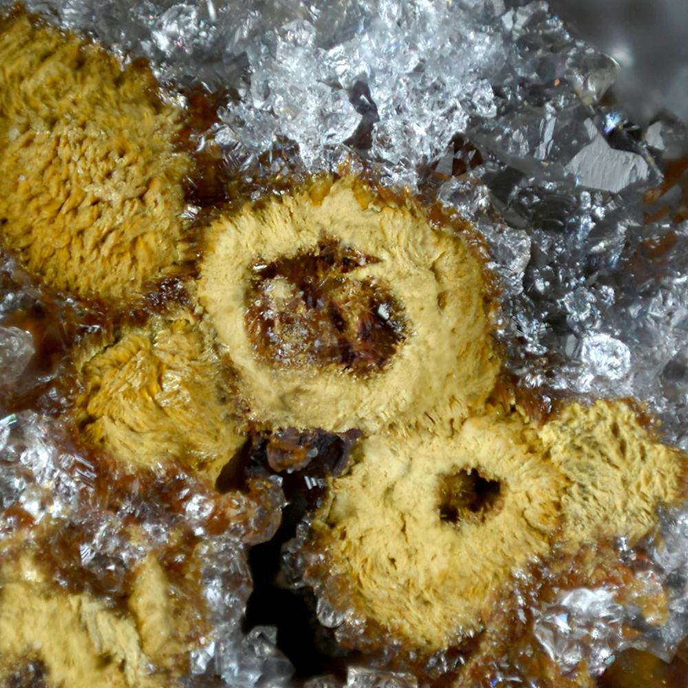 Nickelschneebergite & Schneebergite