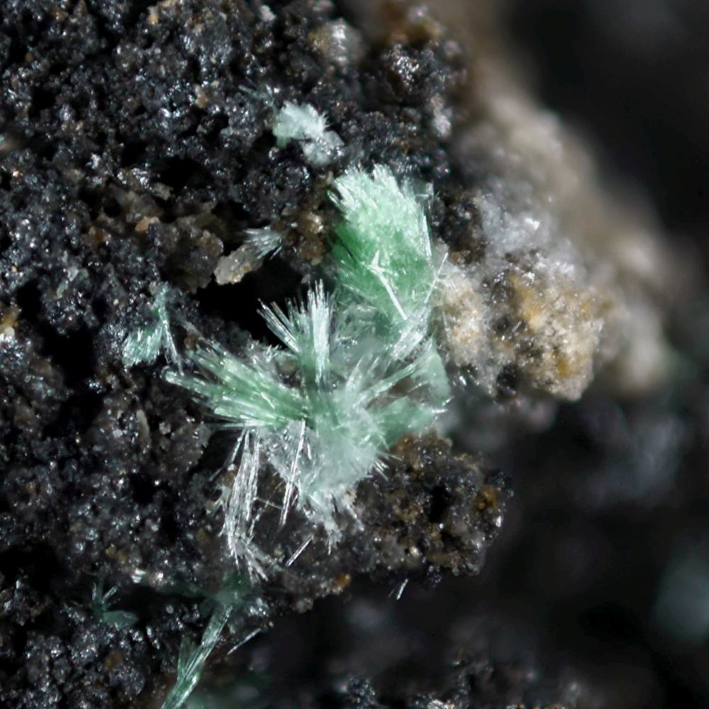 Běhounekite Vysokýite & Čejkaite