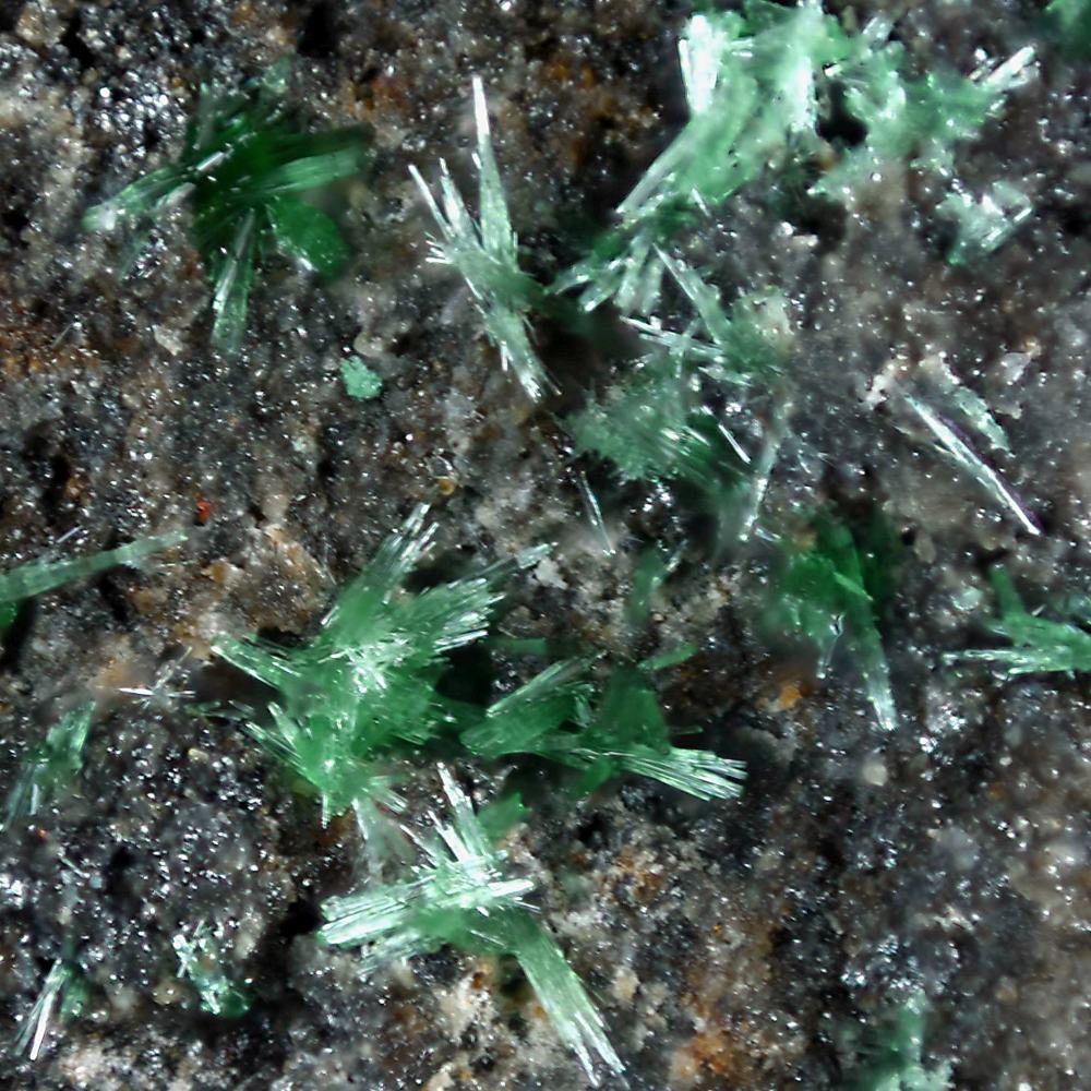 Běhounekite Vysokýite & Čejkaite