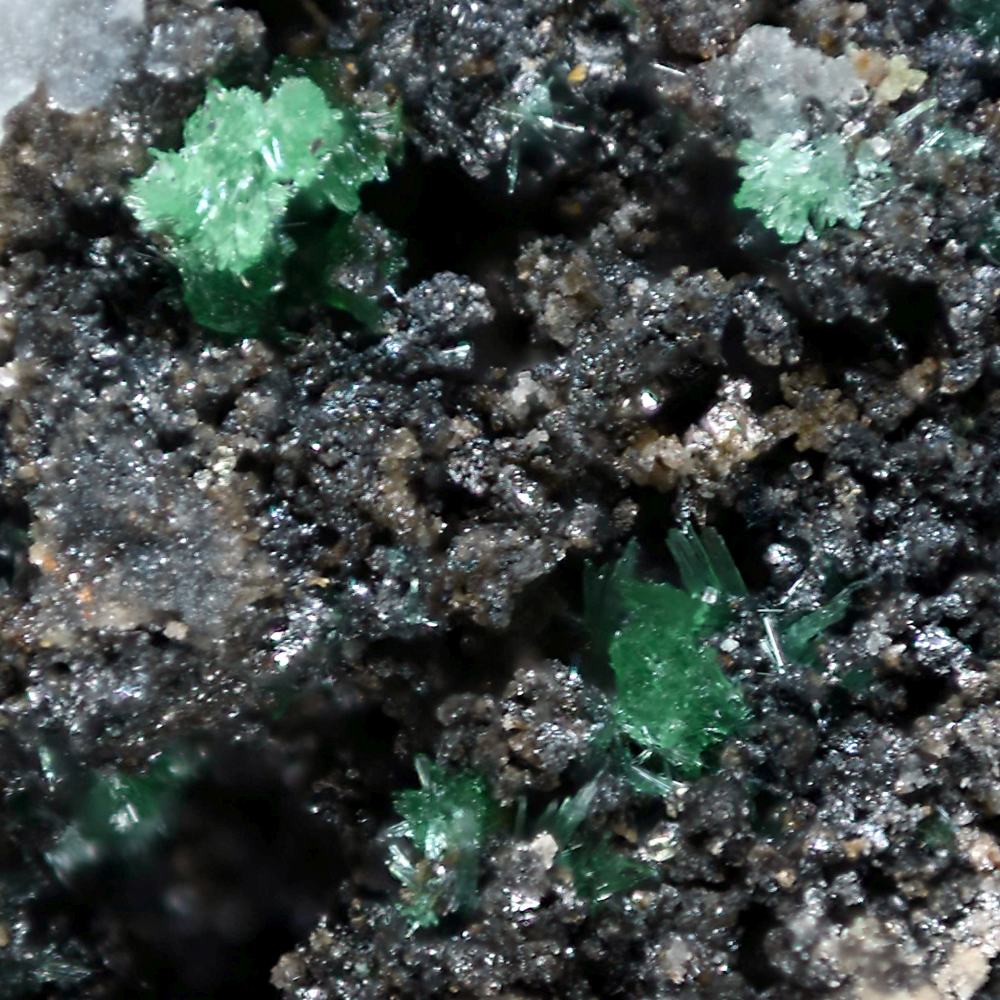 Běhounekite Vysokýite & Čejkaite