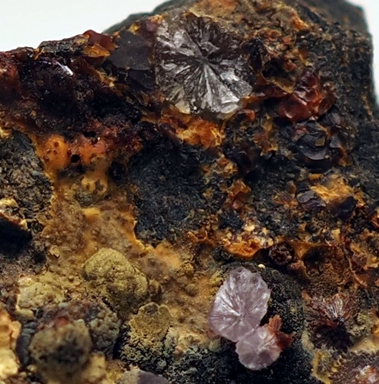 Strengite & Beraunite