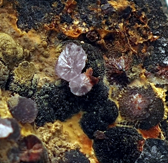 Strengite & Beraunite