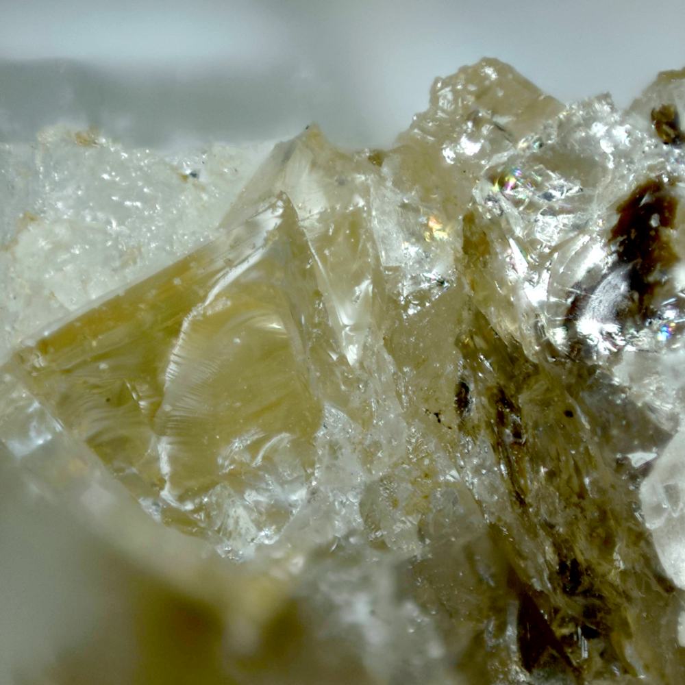 Behierite & Columbite-(Mn)