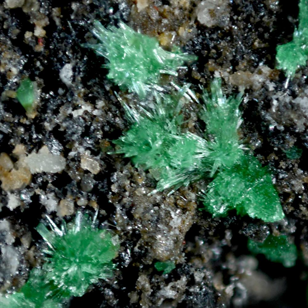 Běhounekite Vysokýite & Čejkaite