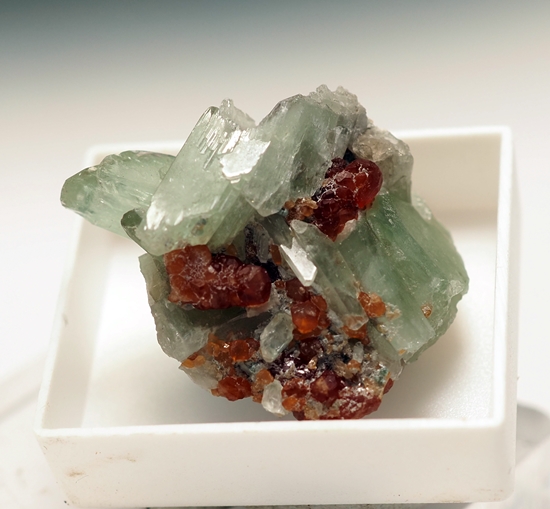 Diopside & Hessonite