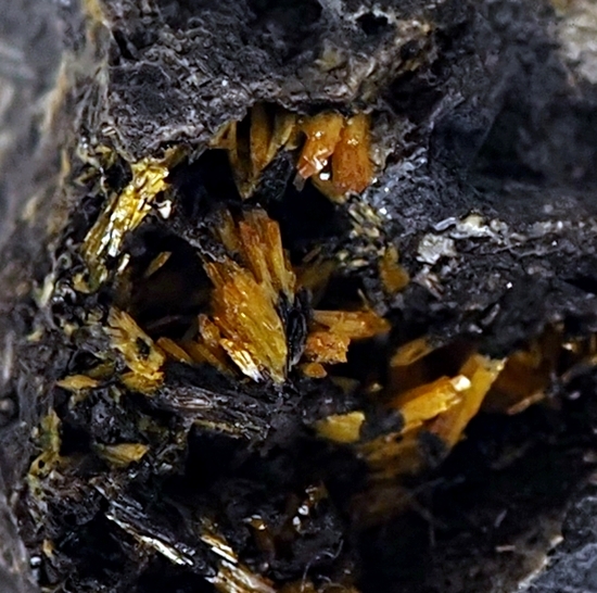 Parsonsite