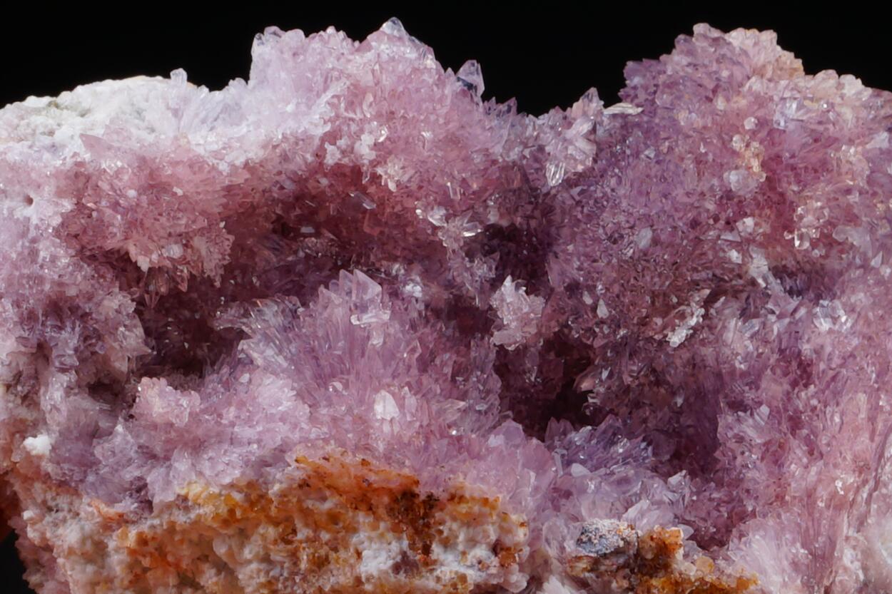 Creedite