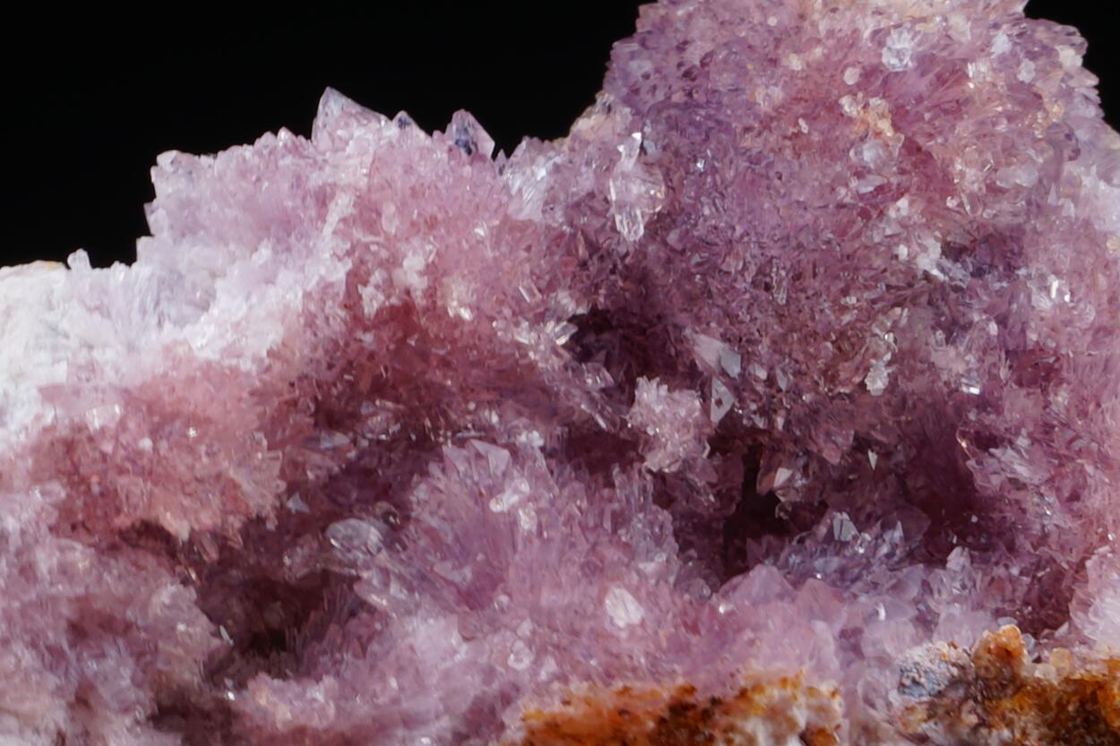 Creedite