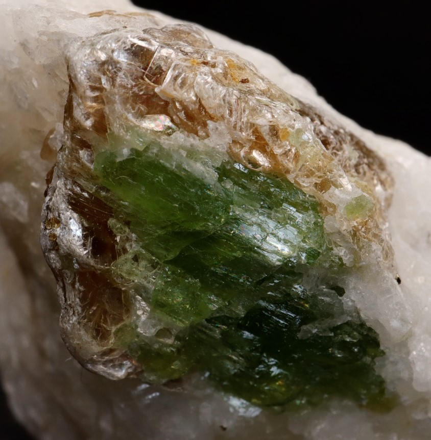 Pargasite