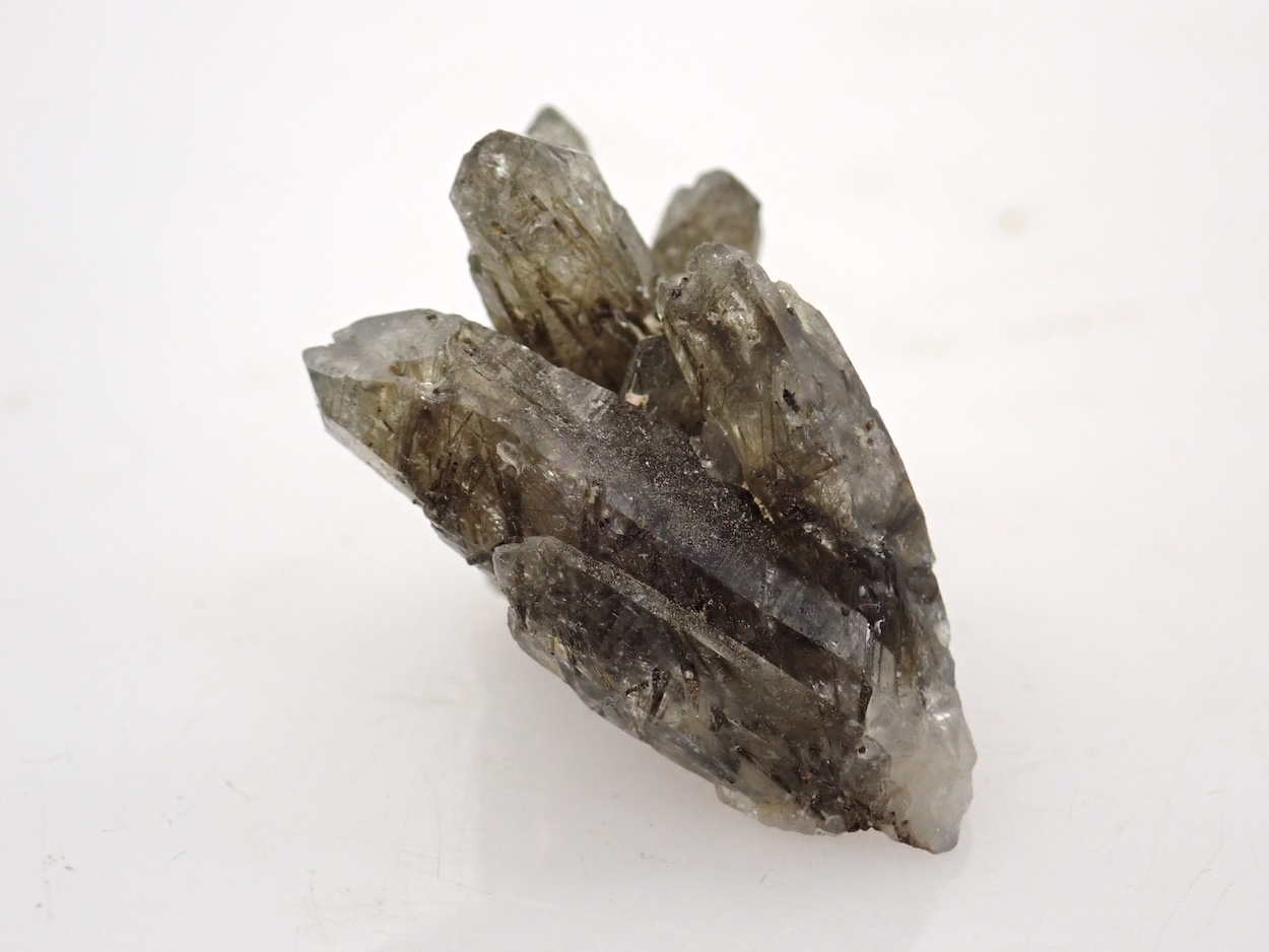 Quartz With Dravite