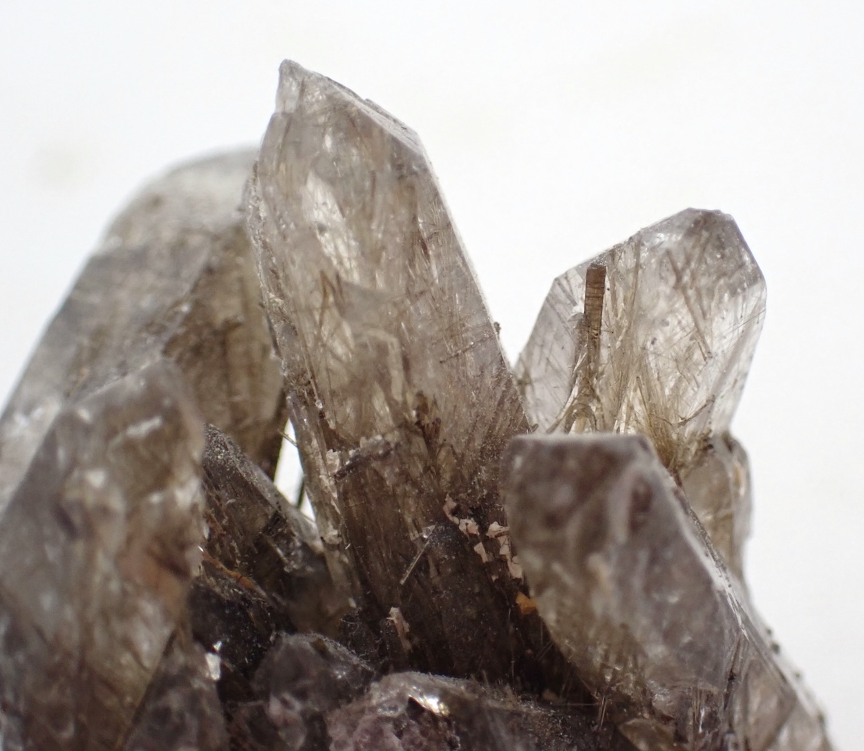 Quartz With Dravite