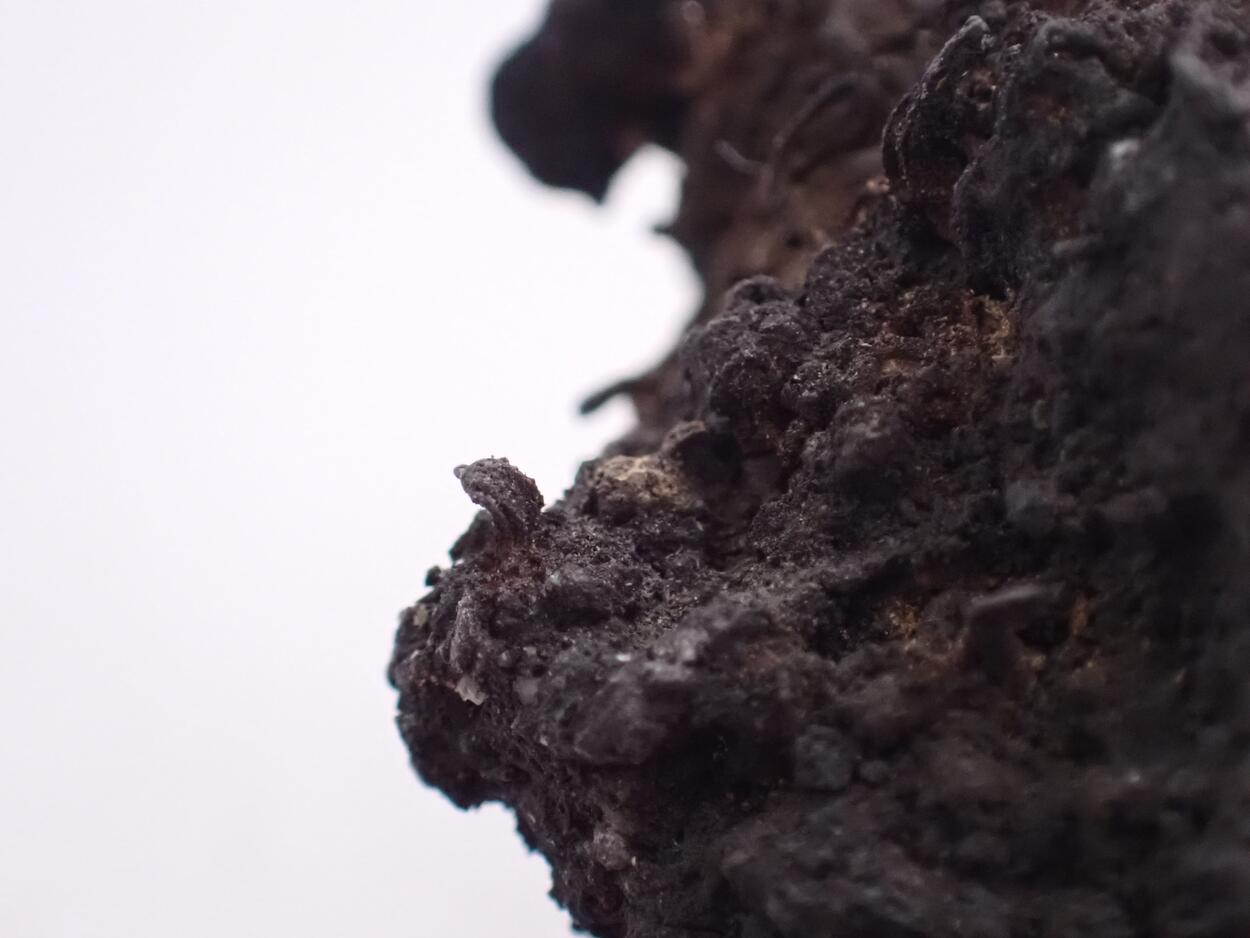 Native Silver & Argentite