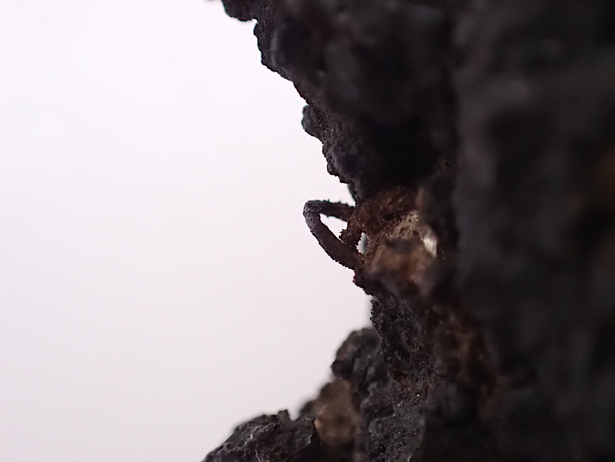 Native Silver & Argentite