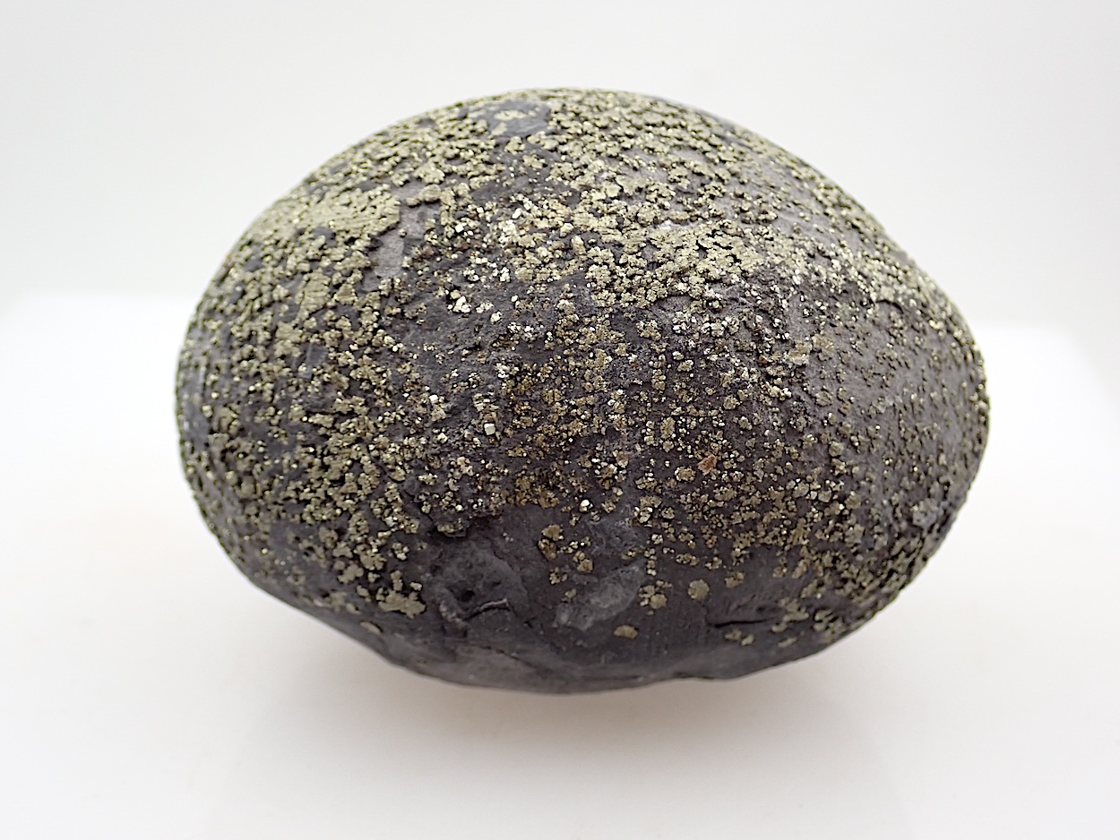 Pyrite Concretion