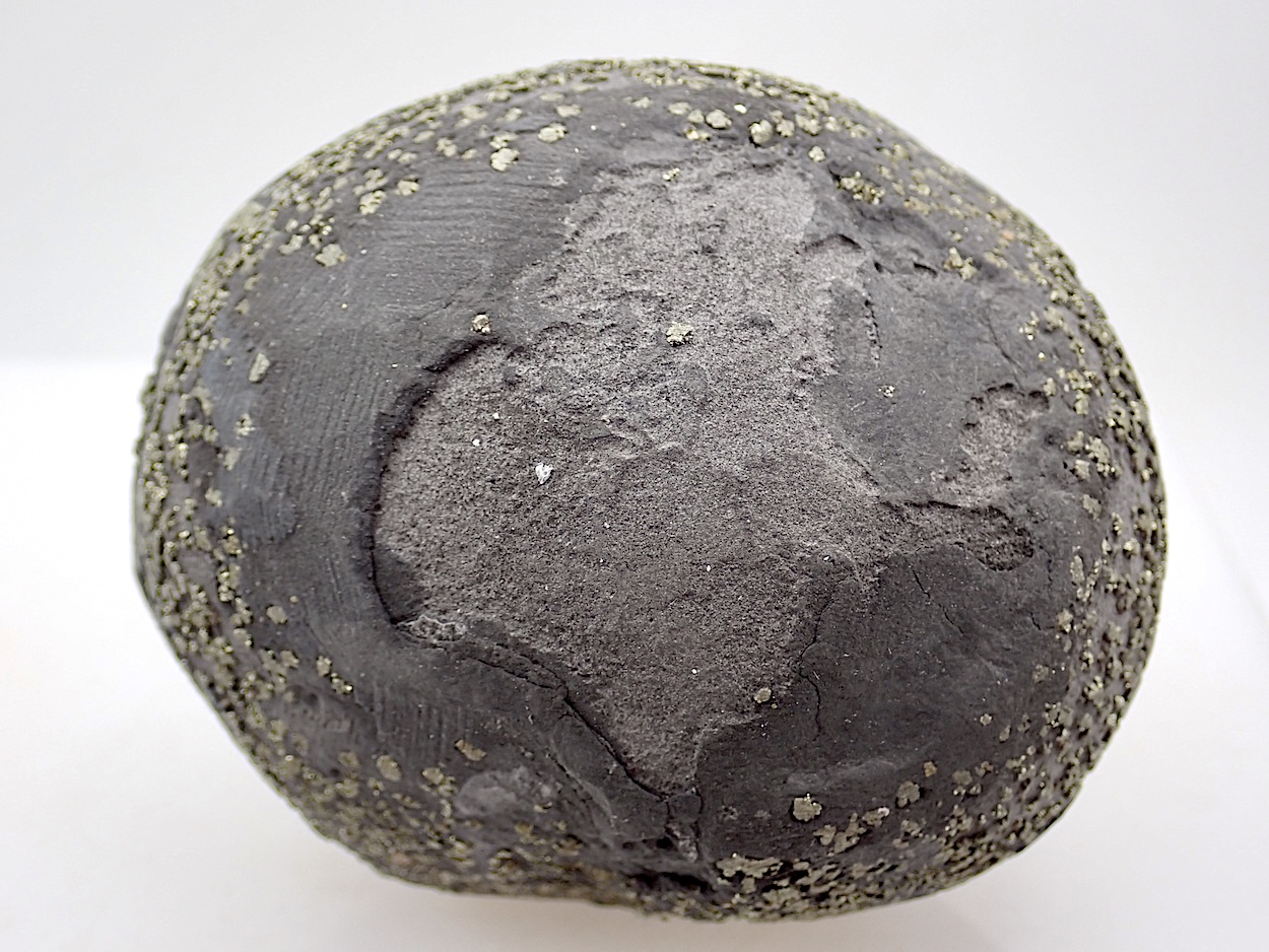 Pyrite Concretion
