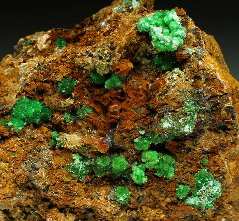 Annabergite & Cabrerite