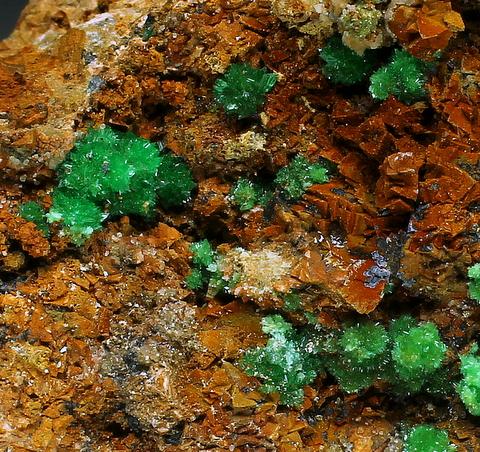 Annabergite & Cabrerite