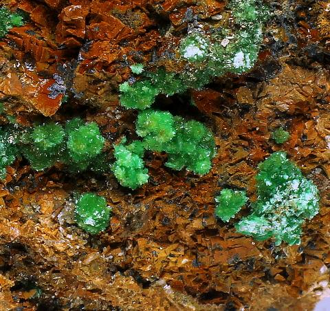 Annabergite & Cabrerite