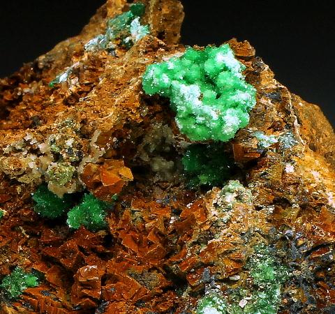 Annabergite & Cabrerite