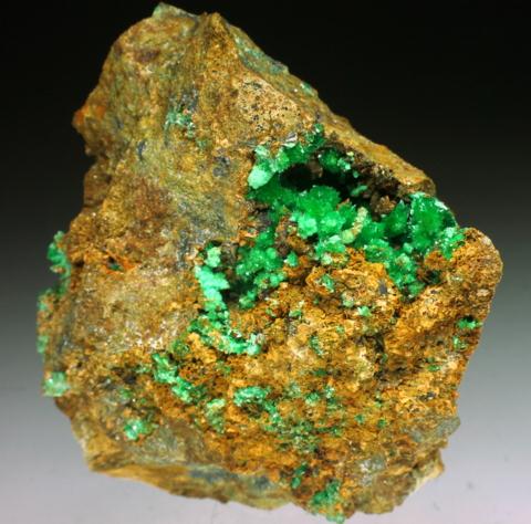 Annabergite & Cabrerite