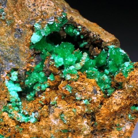 Annabergite & Cabrerite