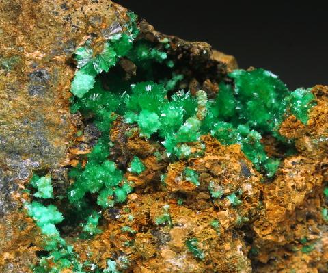 Annabergite & Cabrerite