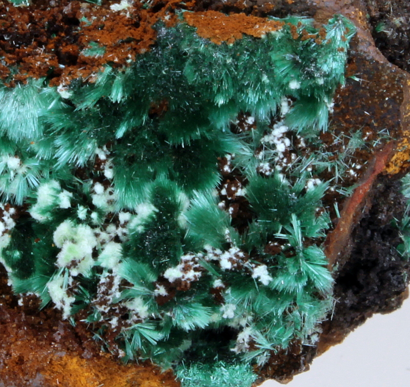 Malachite & Agardite-(Ce)