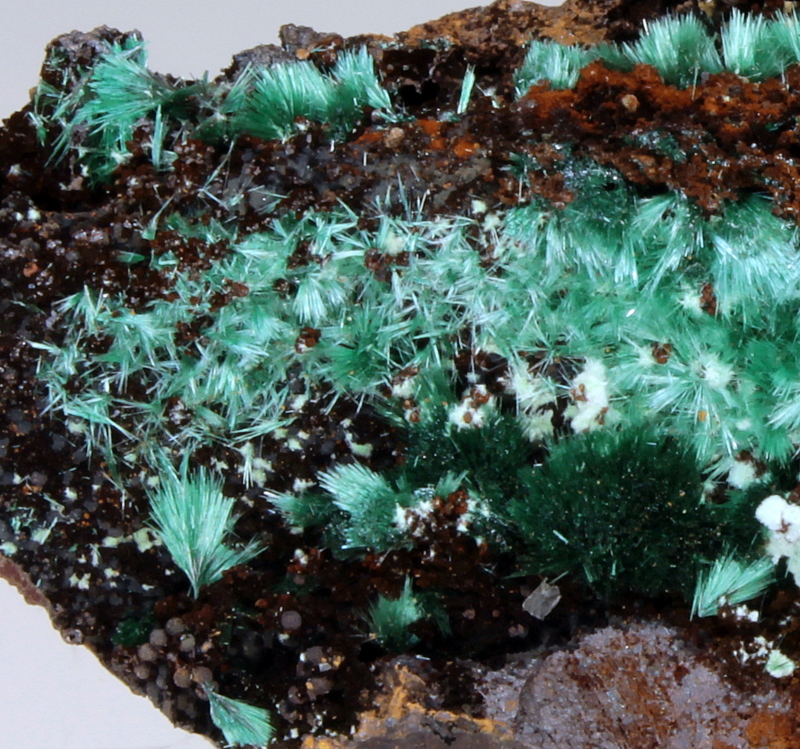 Malachite & Agardite-(Ce)