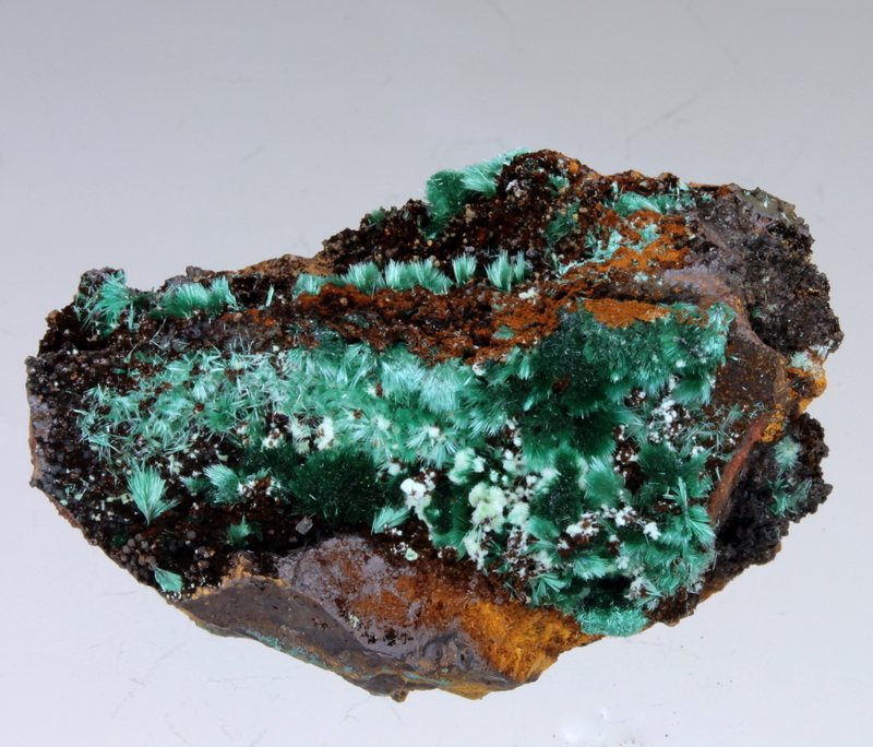 Malachite & Agardite-(Ce)