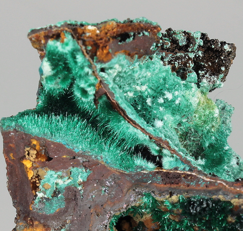 Brochantite & Malachite