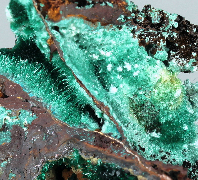 Brochantite & Malachite
