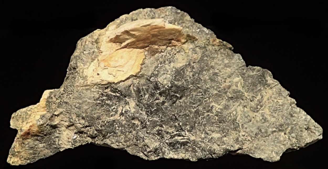 Antimony