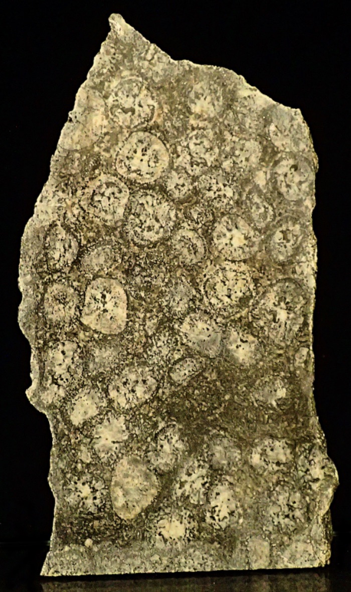 Orbicular Granite