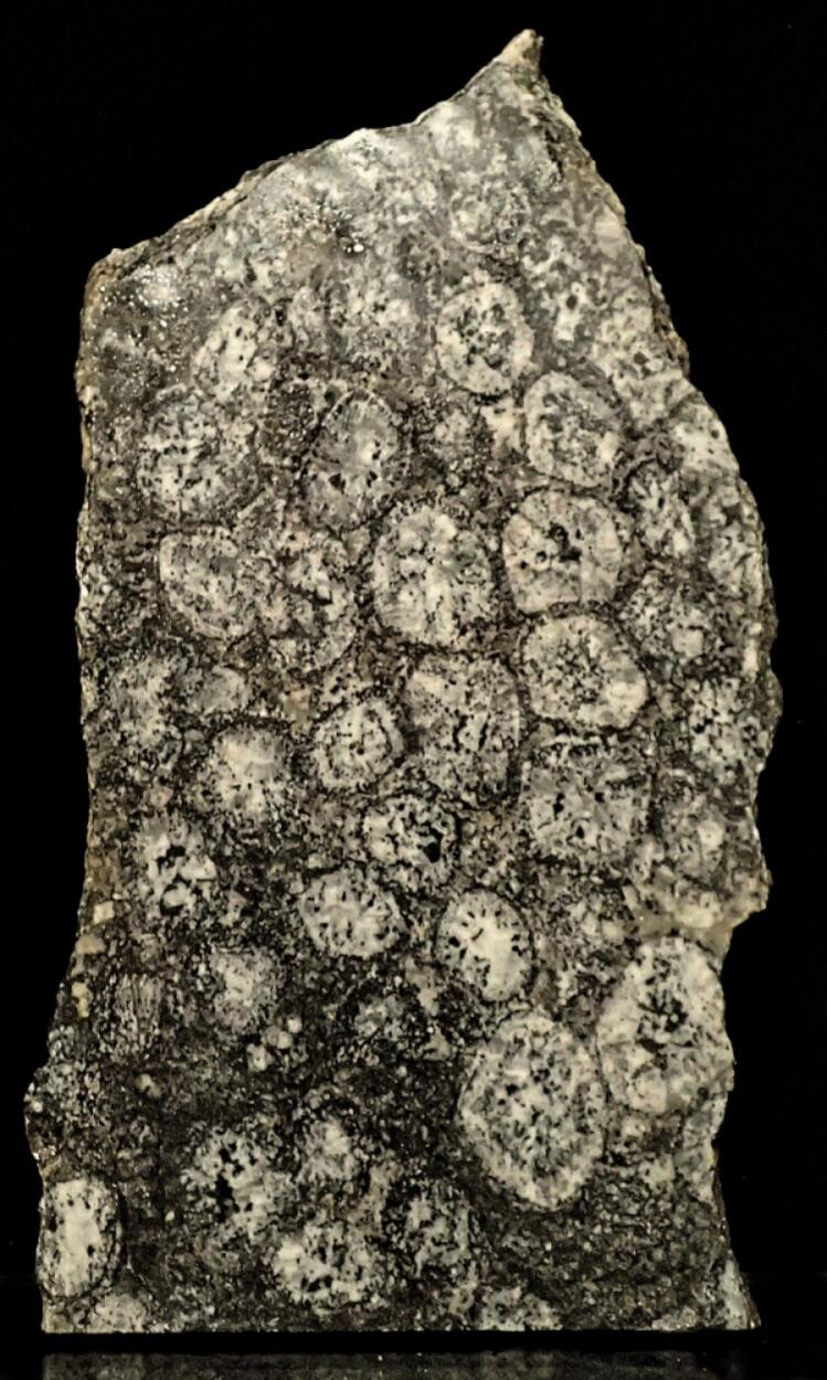 Orbicular Granite