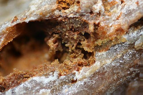 Arsenoflorencite-(Ce)