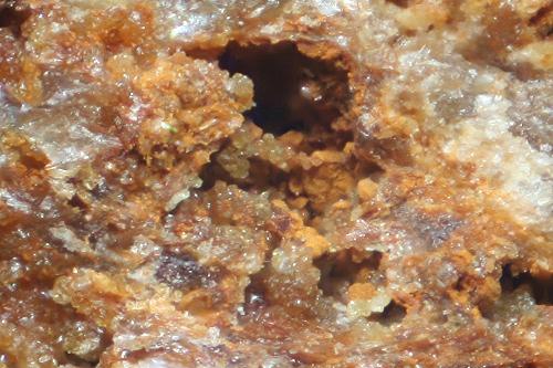 Arsenoflorencite-(Ce)